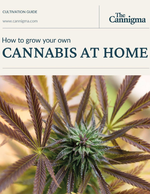 <p>Highly Loved</p><h2>Let's Grow Together.</h2>