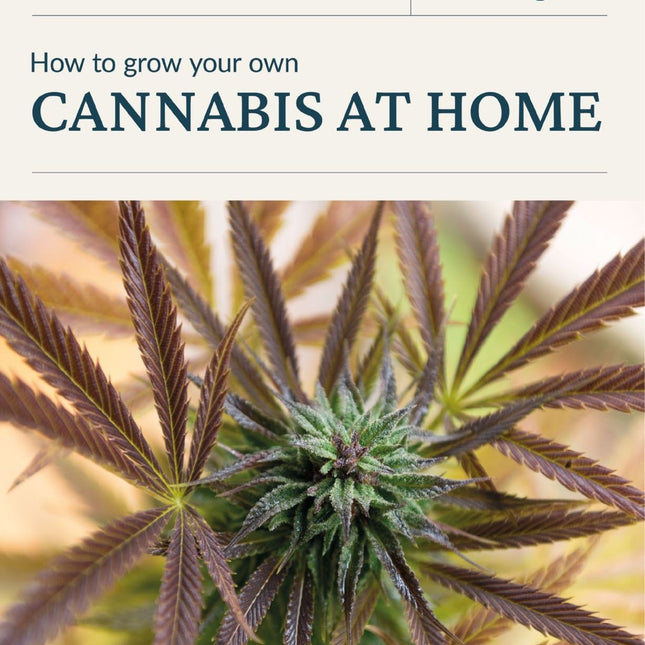 Cultivation Guide: How to Grow Your Own Cannabis at Home